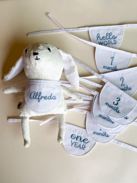 Mi primer amigo - Conejito de los meses