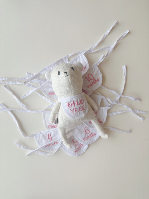 Mi primer amigo (osito de los meses)