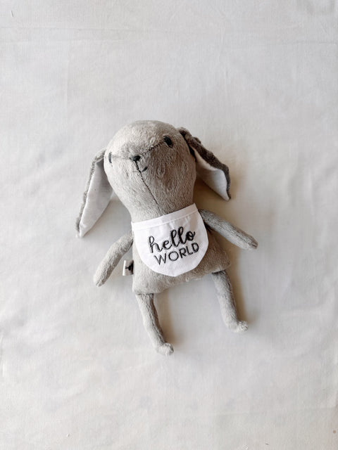 Mi primer amigo (osito de los meses)