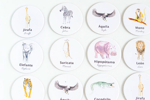 Memoria Animales de la selva Macae
