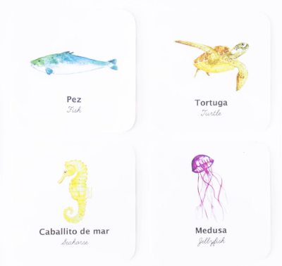 Flashcards Impermeables Animales del Mar