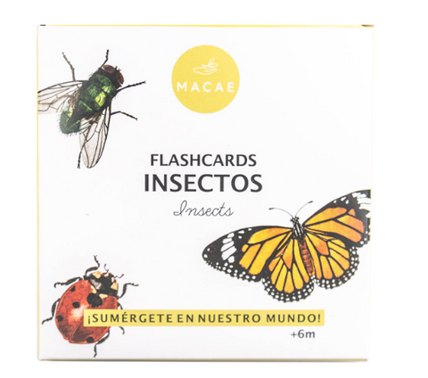 Flashcards Impermeables Insectos