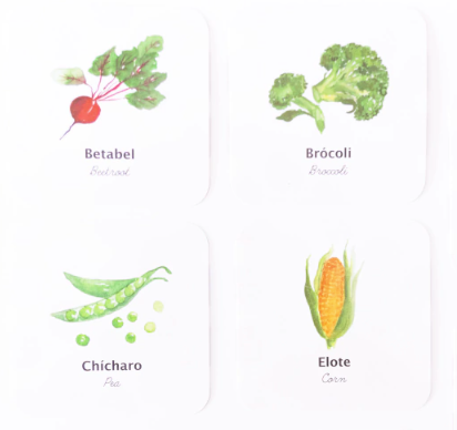 Flashcards Impermeables Verduras