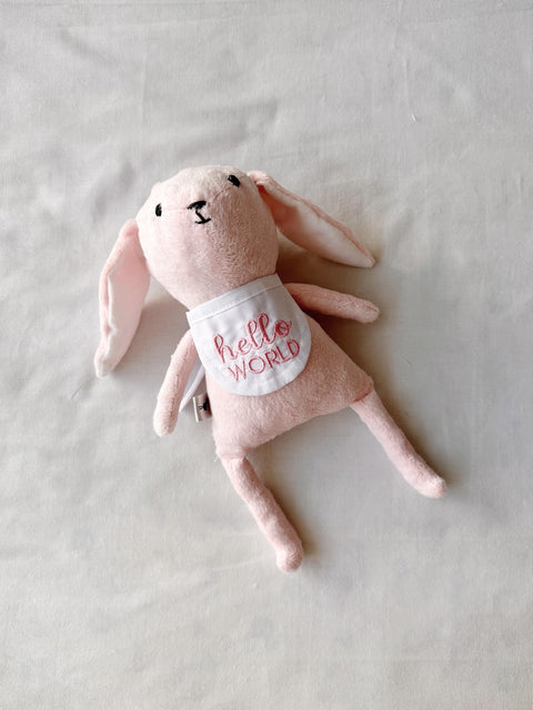 Mi primer amigo (osito de los meses)