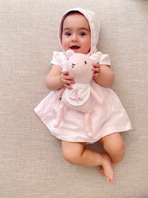 Mi primer amigo - Conejito de los meses