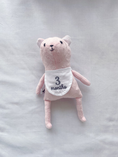 Mi primer amigo (osito de los meses)