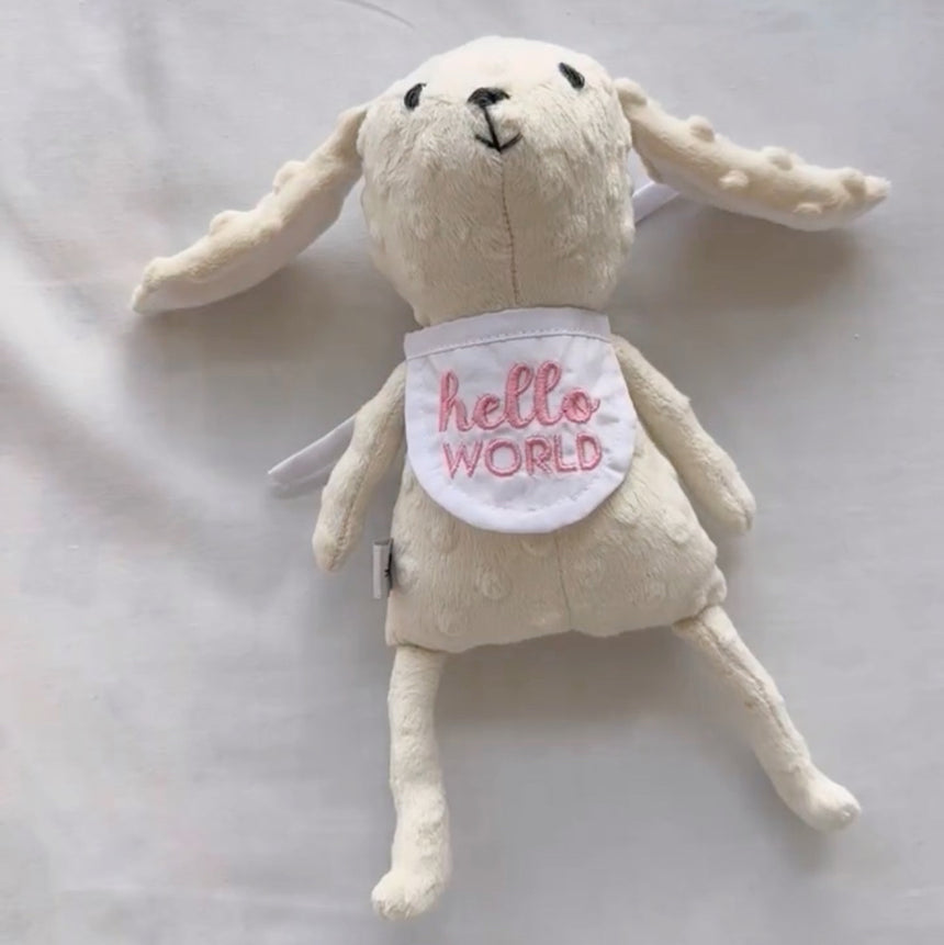 Mi primer amigo (osito de los meses)