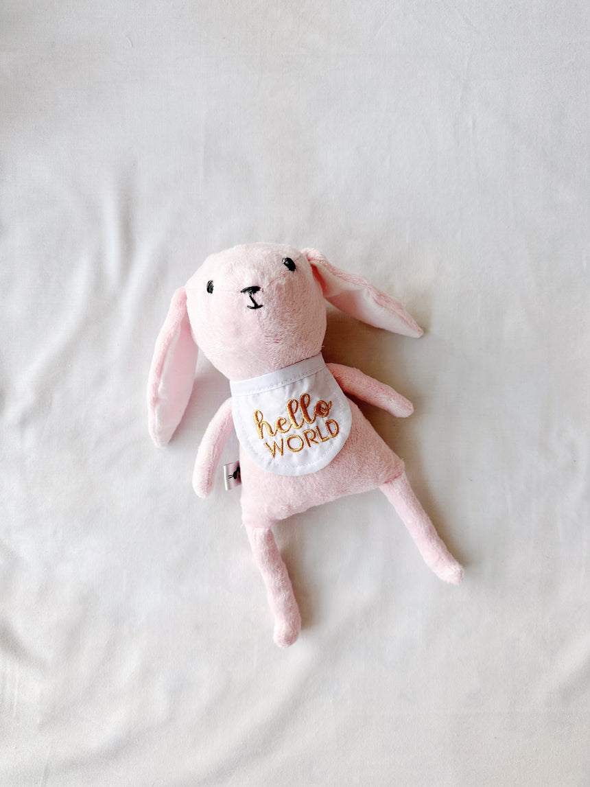 Mi primer amigo (osito de los meses)