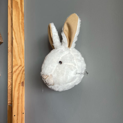 Conejo de pared